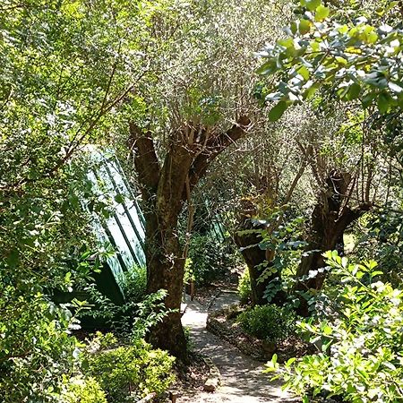La Francesca Sud Un Villaggio"Glamping" สการีโอ ภายนอก รูปภาพ